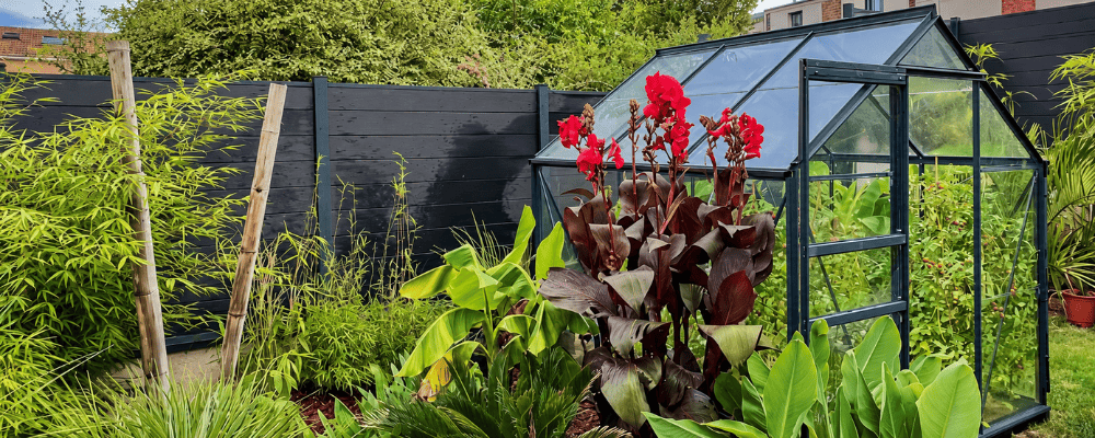 Serre Allium LAMS de 3,70 m² anthracite, avec des plantations à l’intérieur, entourée de végétation et de fleurs rouges en été.